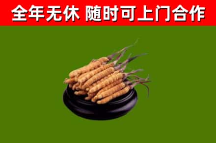 西峡县烟酒回收冬虫夏草.jpg
